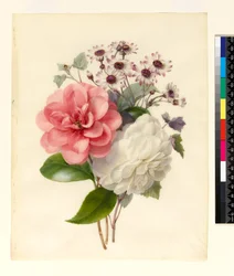 Zweig mit drei Blumen